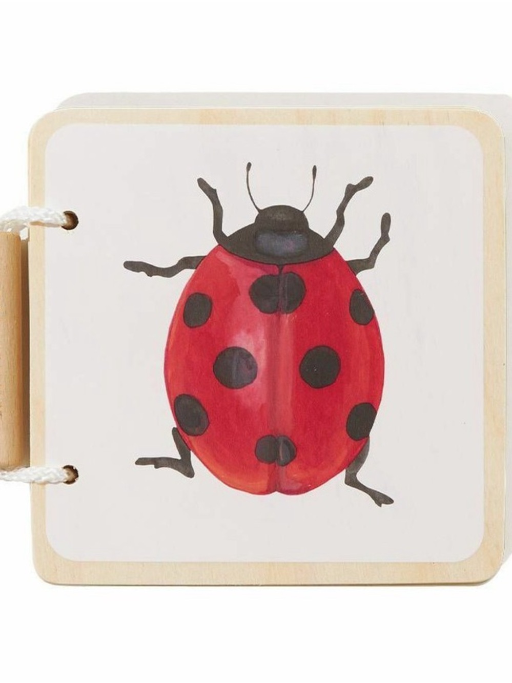Lovevery Colorful Animals Wooden Book
